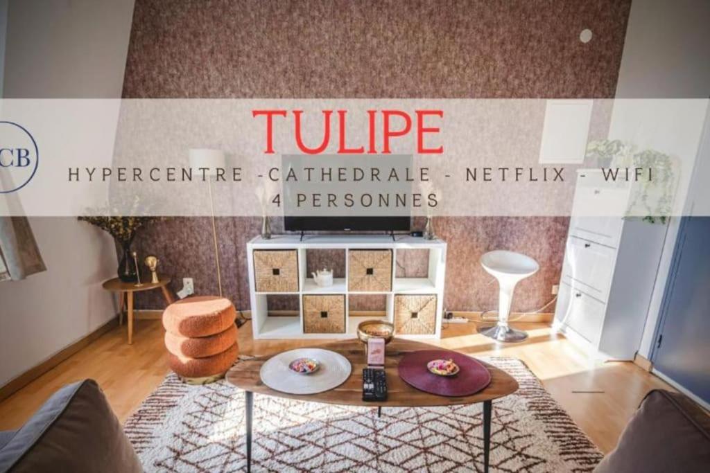 Apartment Tulipe Hypercentre Fantastique